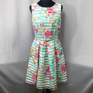 R&K Womens 6 Floral Chiffon A-Line Knee Dress Pleated Belted Lined Zip
